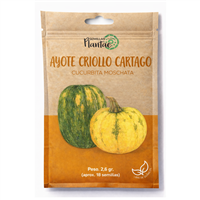 Semilla Ayote Criollo Cartago