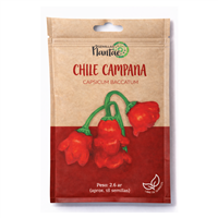Semilla Chile Campana