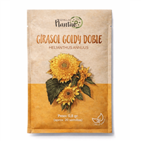 Semilla Girasol Goldy Doble