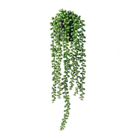 Planta Ornamental Colgante Lagrimas