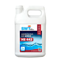 Hidroxido de Sodio Corrector Ph Piscina HS 442 Galon Sur