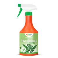 Reverdeciente Plantas Verdes 1 L Happy Plant
