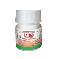 Plaguicida Latigo Termitas