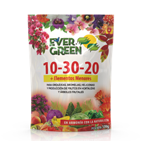 Fertilizante 10 30 20 Super Nutriente 500 g Evergreen